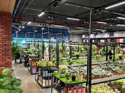 How to Choose the Right Far East Flora Market for You