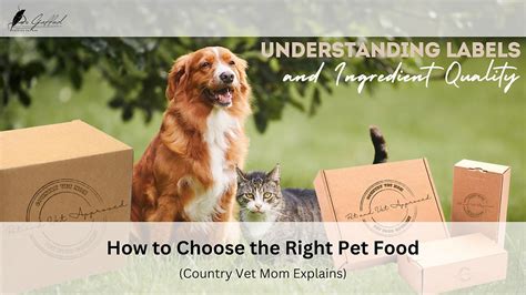 How to Choose the Right Pet Food Community or Forum