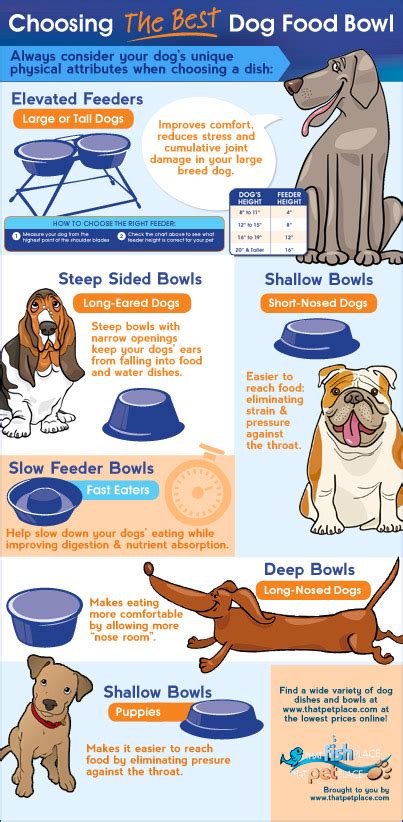 How to Choose the Right Puppy Bowl for Your Pet