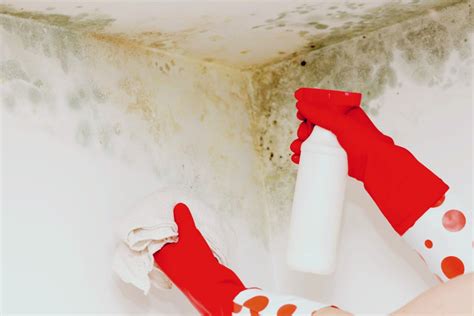 How to Clean Mould From Ceiling: A Comprehensive Guide