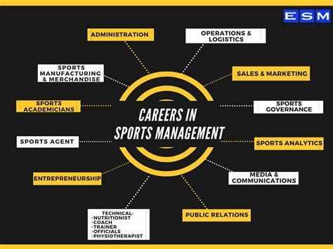 How to Develop a Successful Sports Management Strategy