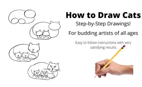 How to Draw Cats Dover How to Draw Reader