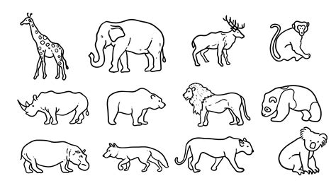 How to Draw Wild Animals Learn to Draw Reader