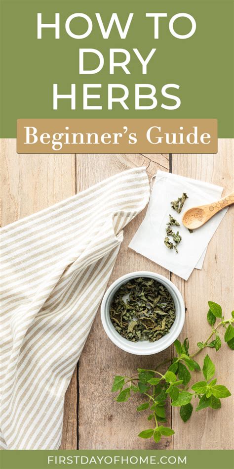 How to Dry Herbs at Home A Beginners Quick and Easy Guide to Drying Herbs at Home PDF