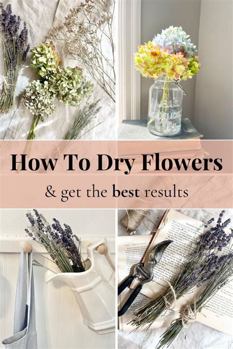 How to Dry and Preserve Fresh Flowers for 7 Stunning Decor Options