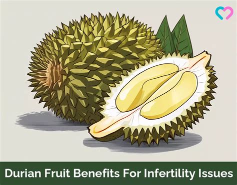 How to Eat Durian Fruit for Infertility: 10 Health Tips