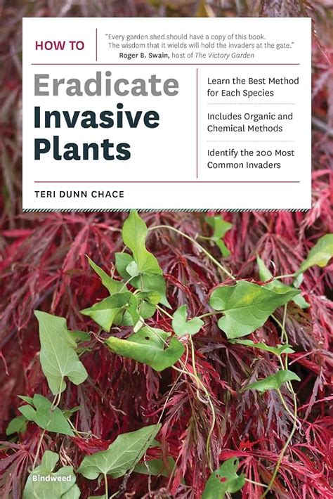 How to Eradicate Invasive Plants Reader