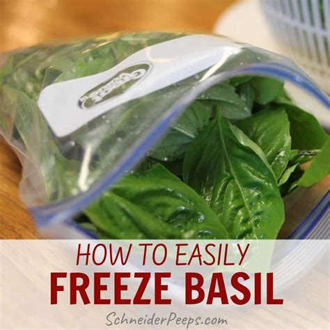 How to Freeze Fresh Food at Home Kindle Editon