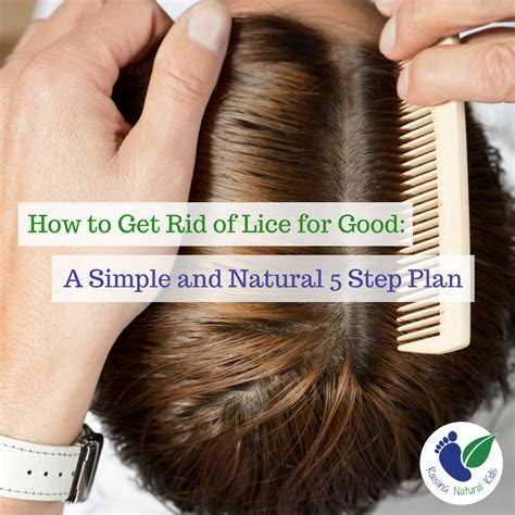 How to Get Rid of Lice: 5 Effective Strategies