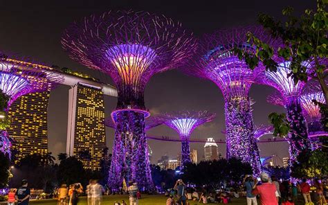 How to Get from Gardens by the Bay to Merlion