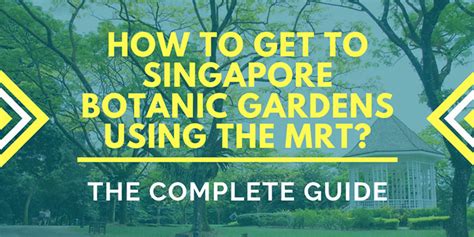 How to Get to Botanic Gardens by MRT in 2025: The Ultimate VS Guide