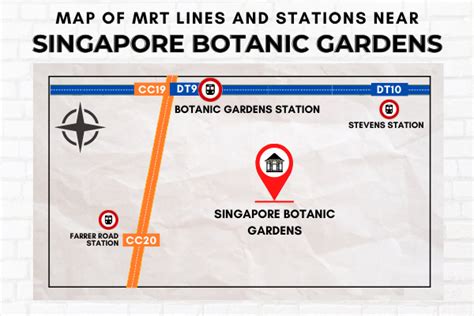 How to Get to Botanic Gardens by MRT in 7 Easy Steps