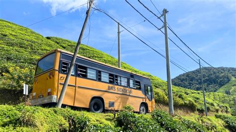 How to Get to Cameron Highlands from KL by Bus (in Just 5 Simple Steps!)