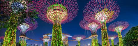 How to Get to Gardens by the Bay: The Ultimate Guide