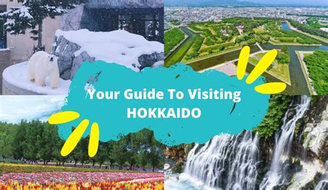 How to Get to Hokkaido From Singapore in 2023: 5 Easy Steps and 17 Tips