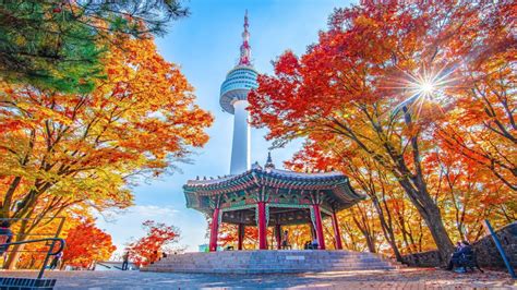 How to Get to Namsan Tower: The Ultimate 2025 Guide