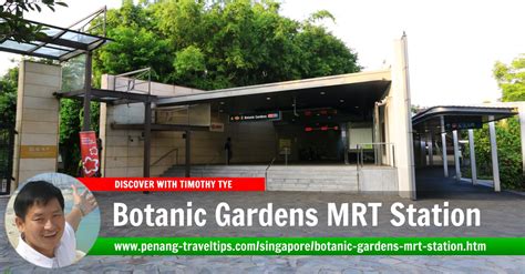 How to Go Botanic Garden MRT in 4 Steps