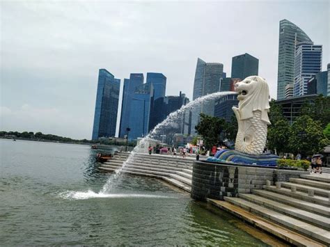 How to Go Merlion Park from Bugis in 5 Easy Steps