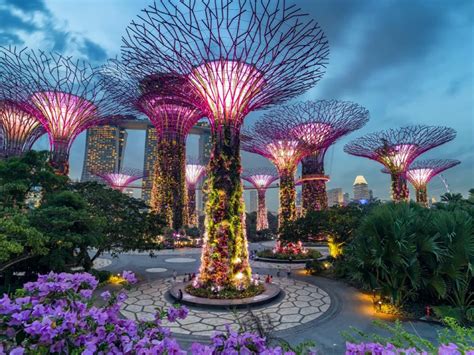 How to Go to Gardens by the Bay: A Comprehensive Guide for an Unforgettable Visit