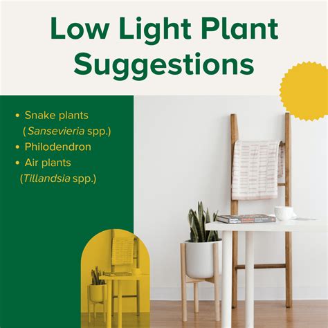 How to Green Up Your Home Useful Tips to Enhance Your Personal Space and to Save Money Doc