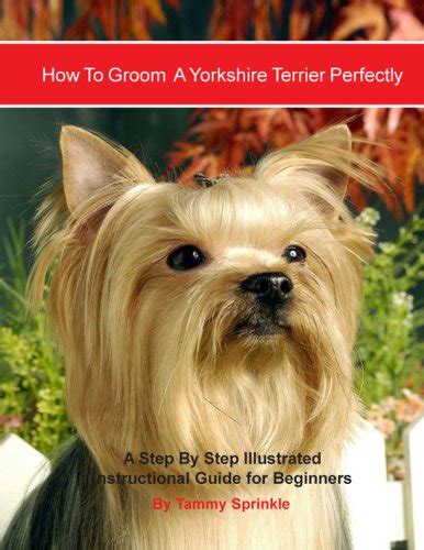 How to Groom a Yorkshire Terrier Perfectly Ebook Epub