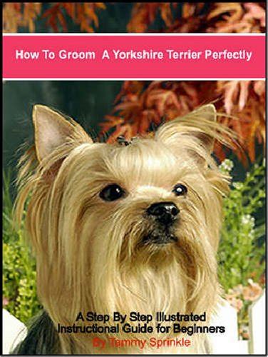 How to Groom a Yorkshire Terrier Perfectly Ebook Epub