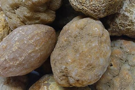 How to Identify Geodes