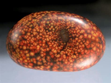 How to Identify Orbicular Jasper