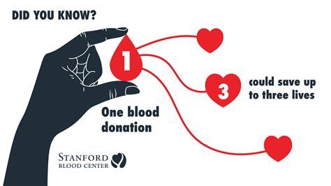 How to Know if You Can Donate Blood (And 15,000 Fun Facts)