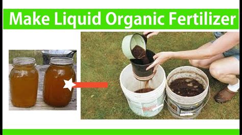 How to Make Fermentation Liquid Fertilizer