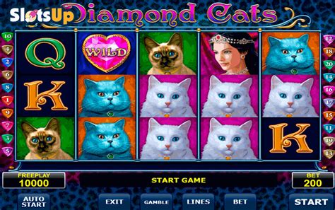 How to Play Cat Slot 1