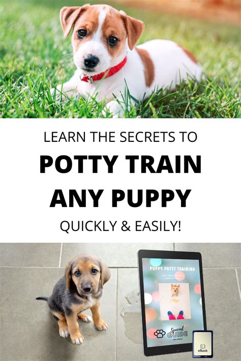 How to Potty Train A Puppy Learn How to Potty Train a Puppy Quickly and Easily Doc