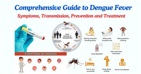 How to Recover from Dengue Fever: A Comprehensive Guide