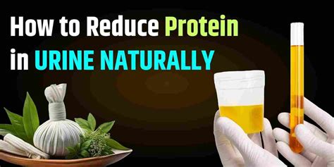 How to Reduce Protein in Urine: Proven Strategies for 2025