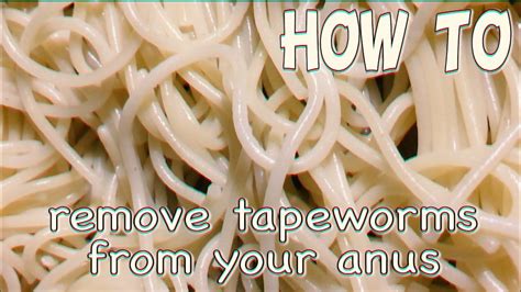 How to Remove 4 Types of Worms from Anus