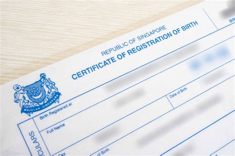 How to Retrieve Your Singapore Birth Certificate Online: A Comprehensive Guide