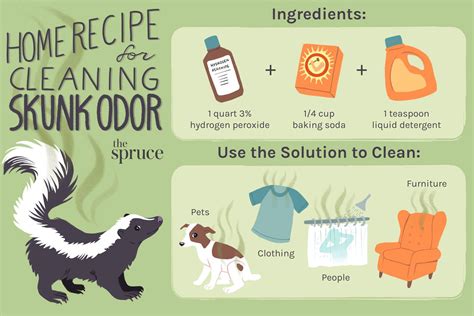 How to Rid Skunk Smell from Dog: A Comprehensive Guide