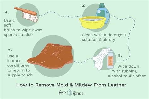 How to Rid Your Leather of Mold: 5 Effective Strategies