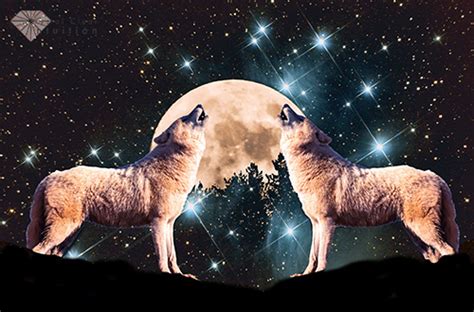 How to Save a Life Howl at the Moon Reader