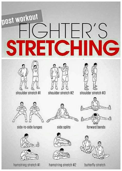 How to Stretch for Martial Arts and Fitness Your Ultimate Flexibility and Warm Up Guide PDF