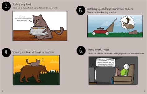 How to Tell If Your Cat Is Plotting to Kill You The Oatmeal Epub