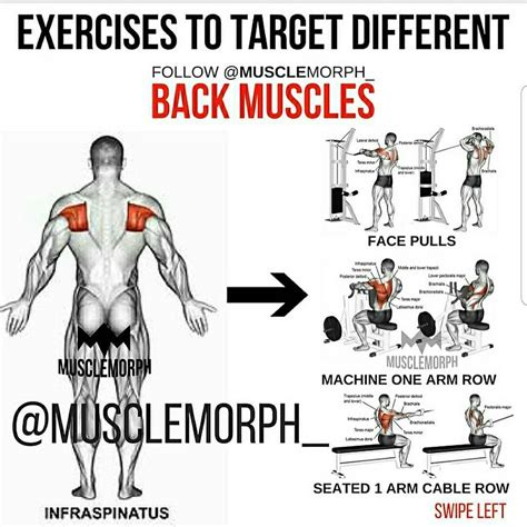 How to Train Back Muscles at Gym: A Comprehensive Guide for Building a Strong and Symmetrical Back