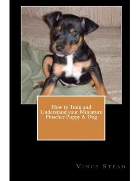 How to Train and Understand Your Miniature Pinscher Puppy and Dog Reader