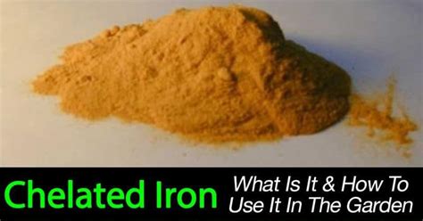 How to Use Fertilizer with Chelated Iron