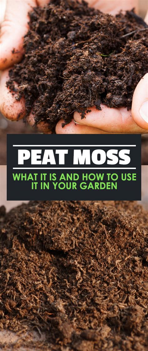 How to Use Peat Moss and Fertilizer