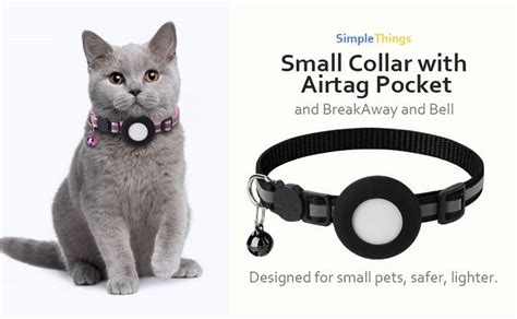 How to Use an AirTag Collar for Pet Training in 2025: A Comprehensive Guide