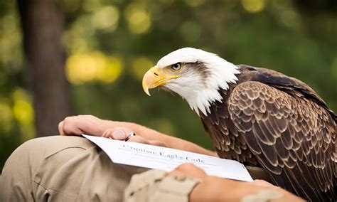 How to Verify if Someone is an Eagle Scout: A Comprehensive Guide