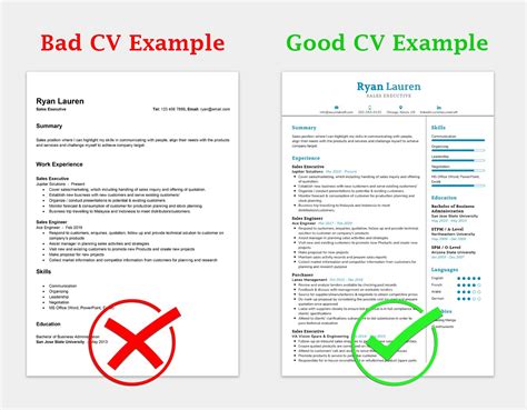 How to Write the Perfect CV Practical Guide with Examples Kindle Editon