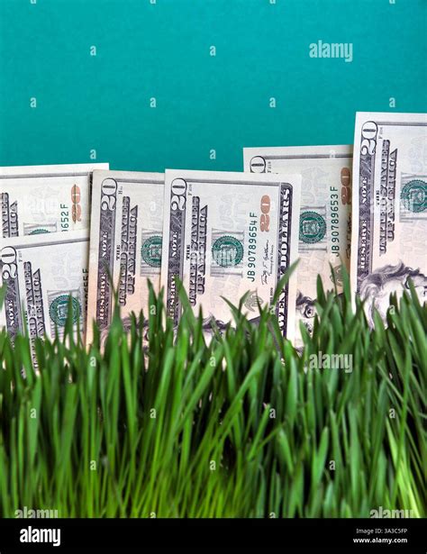 How to convert grass to dollars