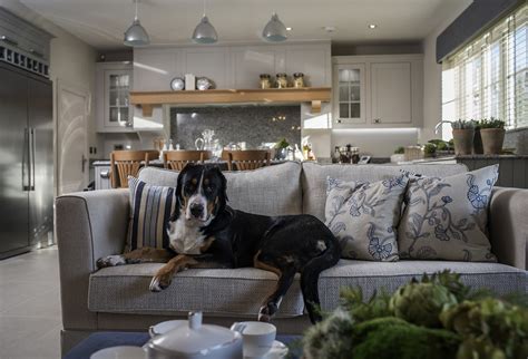 How to decorate pet-friendly homes with Sniffspot